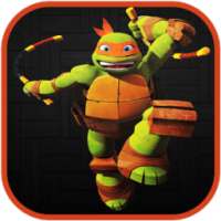 turtle shadows ninja