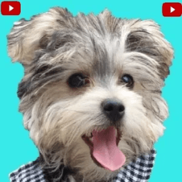 DCTC Toy Channel Videos ✅ icon