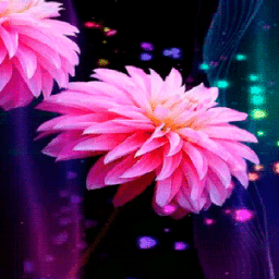 ikon Pink Flowers Shine LWP