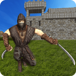 Ninja Warrior Assassination icon