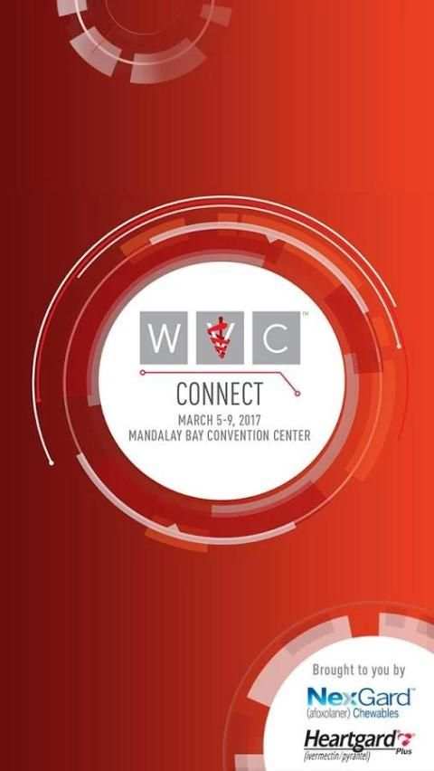 WVC 2017 скриншот 4
