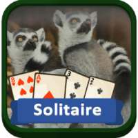 Solitaire Wild