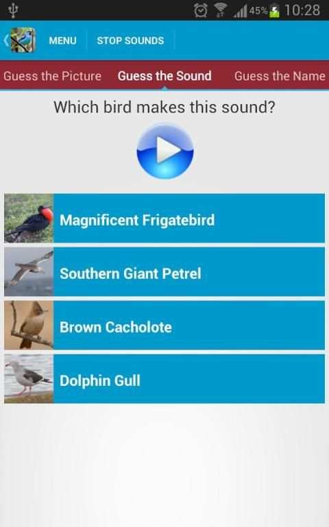 South American Birds скриншот 19