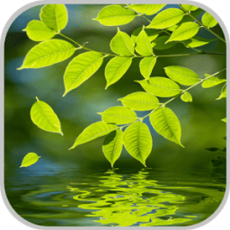 Nature Live Wallpaper أيقونة
