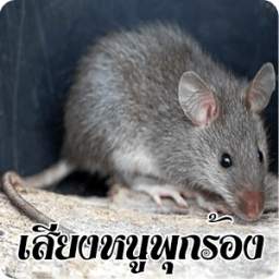 เสียงหนูพุกร้อง 1.0