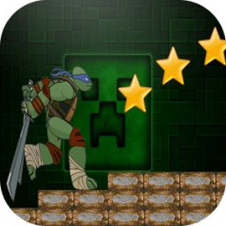 Turtle runner ninja أيقونة