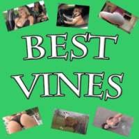 Best Vines Video on 9Apps