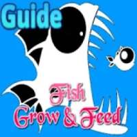 New Guide For Fish Feed & Grow 2020