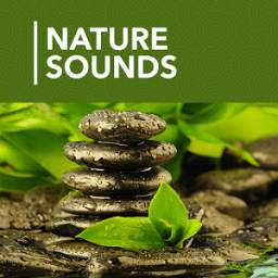 Nature Sounds Meditation Sleep