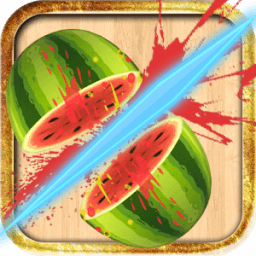 Fruit Of Ninja أيقونة
