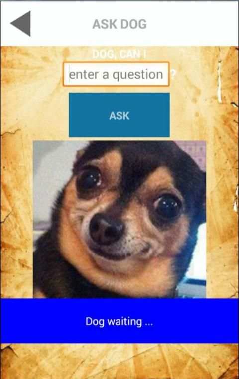 Magic Ball. Ask the dog screenshot 1
