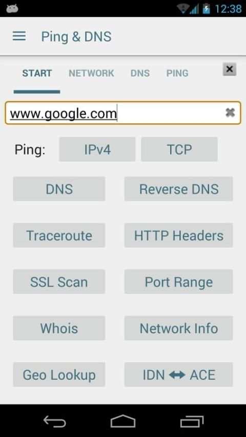 Ping & DNS screenshot 1