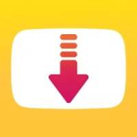 Video Downloader with VPN