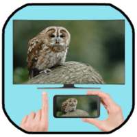 Screen Sharing Smart View