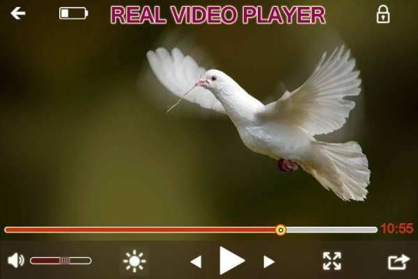 Real Player скриншот 4