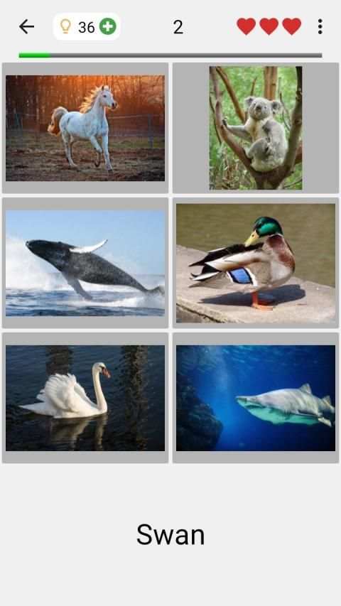 Easy Pictures and Words - Photo-Quiz with 5 Topics स्क्रीनशॉट 4