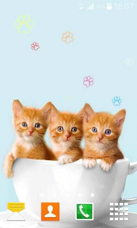 Kitty Live Wallpaper screenshot 2