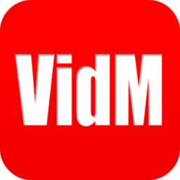 VidMet 1.0