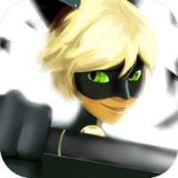 Cat Noir Adventures