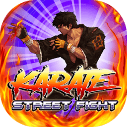 ikon Karate Fighter - Street Zombie