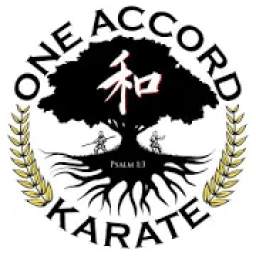 One Accord Karate