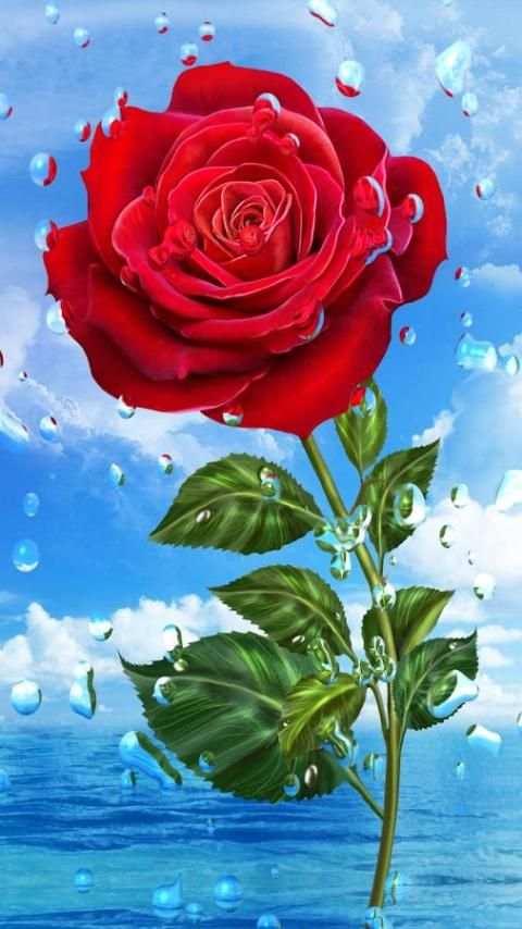 Flowers Gifs And Roses Live Wallpapers स्क्रीनशॉट 9
