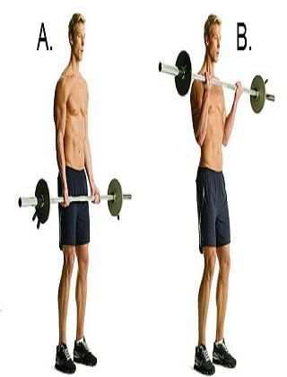 biceps workout :free download скриншот 4