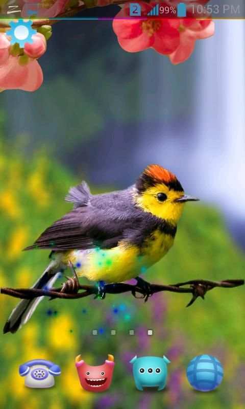 Birds Live Wallpaper 3D स्क्रीनशॉट 8