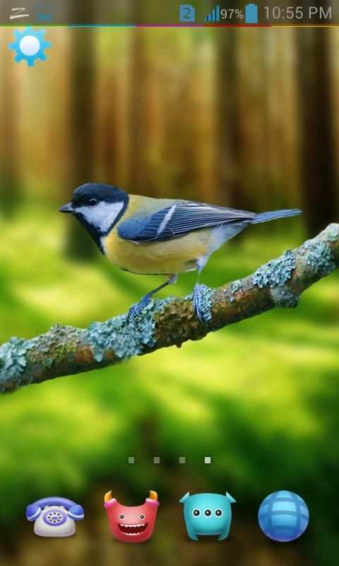 Birds Live Wallpaper 3D स्क्रीनशॉट 5