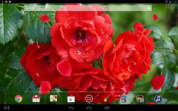 Red Roses Live Wallpaper 1 تصوير الشاشة