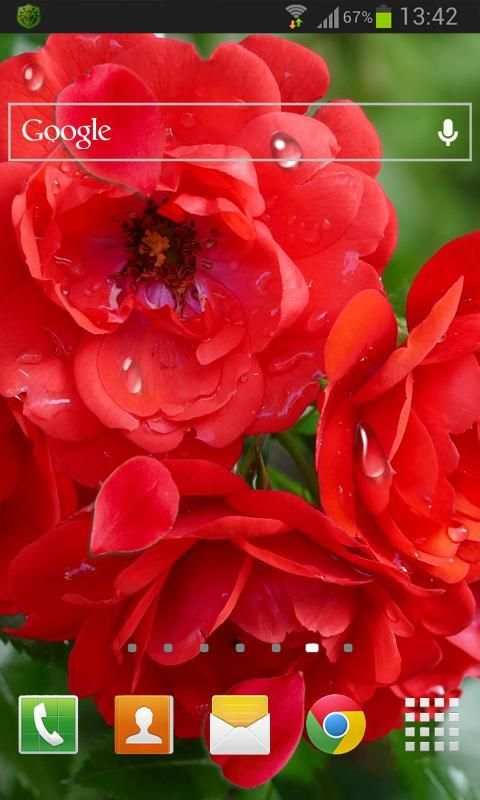 Red Roses Live Wallpaper 2 تصوير الشاشة