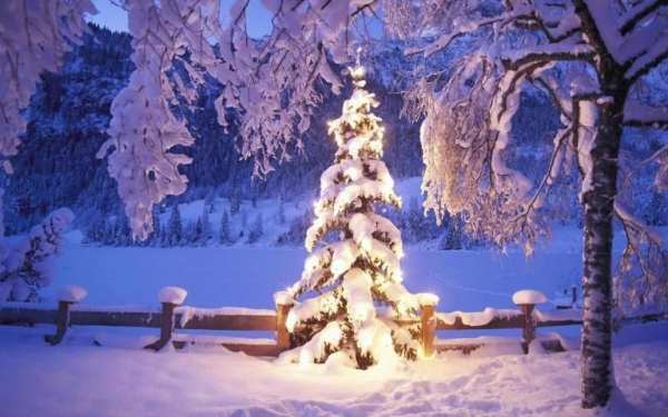 Winter Wallpapers screenshot 3
