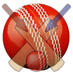 Cricket Live Score icon