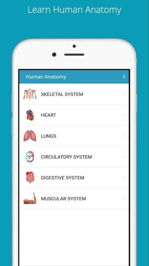 Learn Human Anatomy (Human Body) screenshot 11