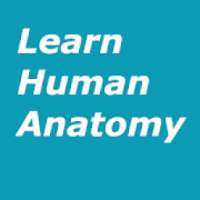 Learn Human Anatomy (Human Body) on 9Apps