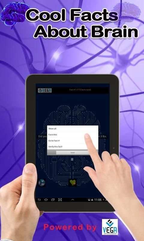 Cool Facts about Brain screenshot 2