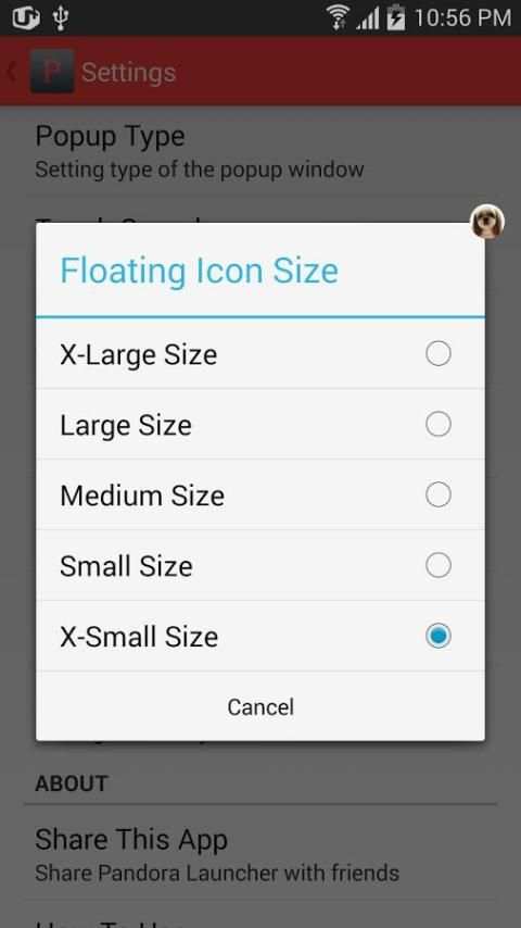 Pandora Launcher screenshot 2