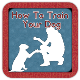 How To Train Your Dog Guide иконка