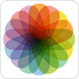 Gallery иконка