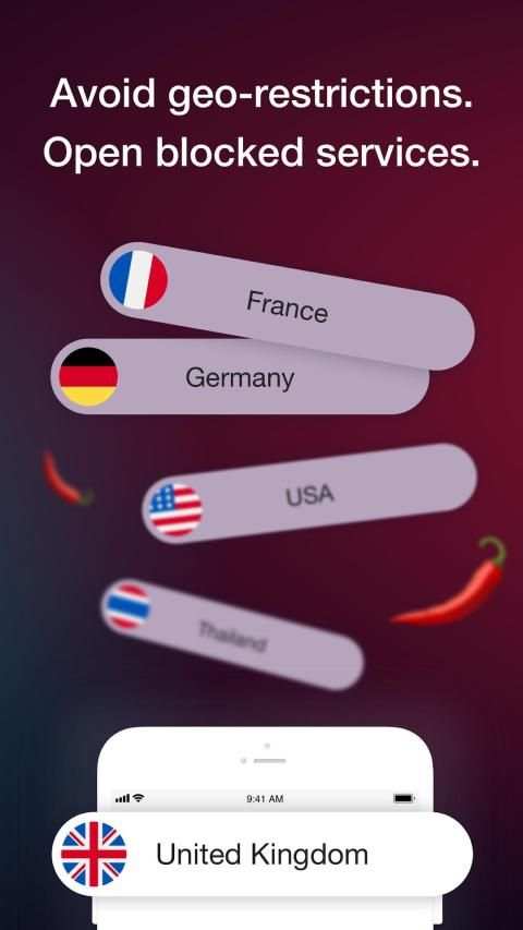Access Browser screenshot 3