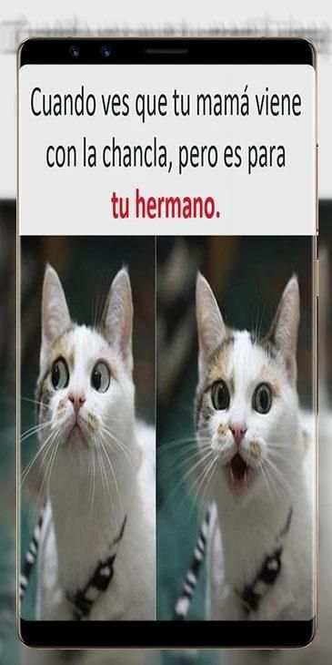 Imágenes de WhatsApp screenshot 10
