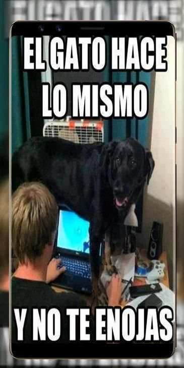 Imágenes de WhatsApp screenshot 11