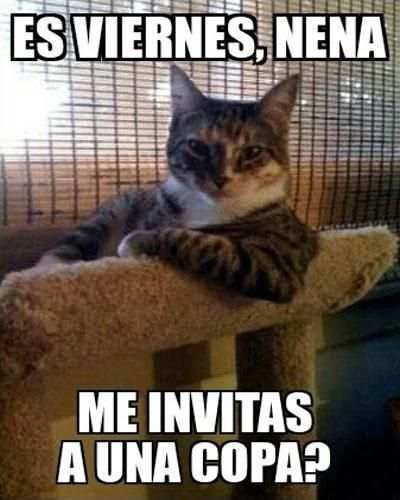 Imágenes de WhatsApp screenshot 3