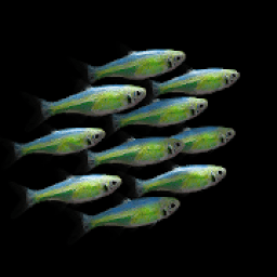 ikon NANO AQUARIUM Free