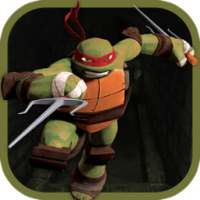 Turtle Jumper Ninja