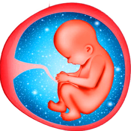 أسابيع الحمل - نصائح أيقونة