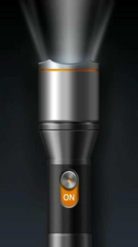 FlashLight скриншот 1