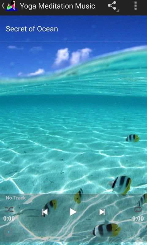 Yoga Meditation Music screenshot 2