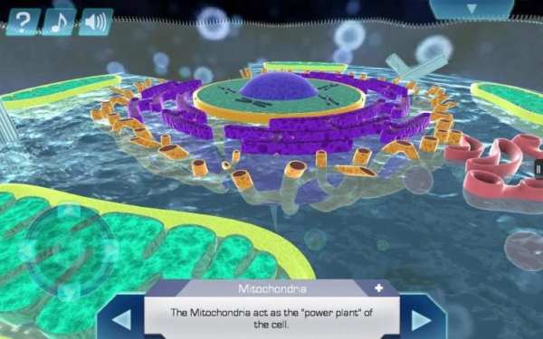 Cell World स्क्रीनशॉट 7