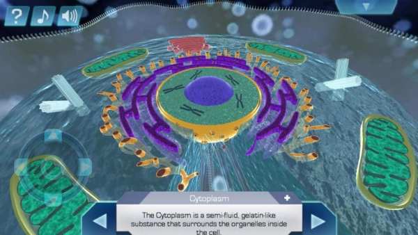 Cell World स्क्रीनशॉट 8